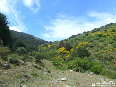 Mojonavalle - Sestil de Maillo: Bosques de Canencia;rio manzanares el real de san vicente el tiemblo